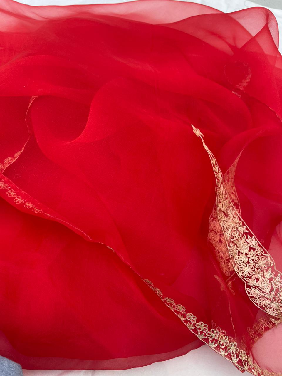 Red Organza Banarasi Dupatta with Koniya