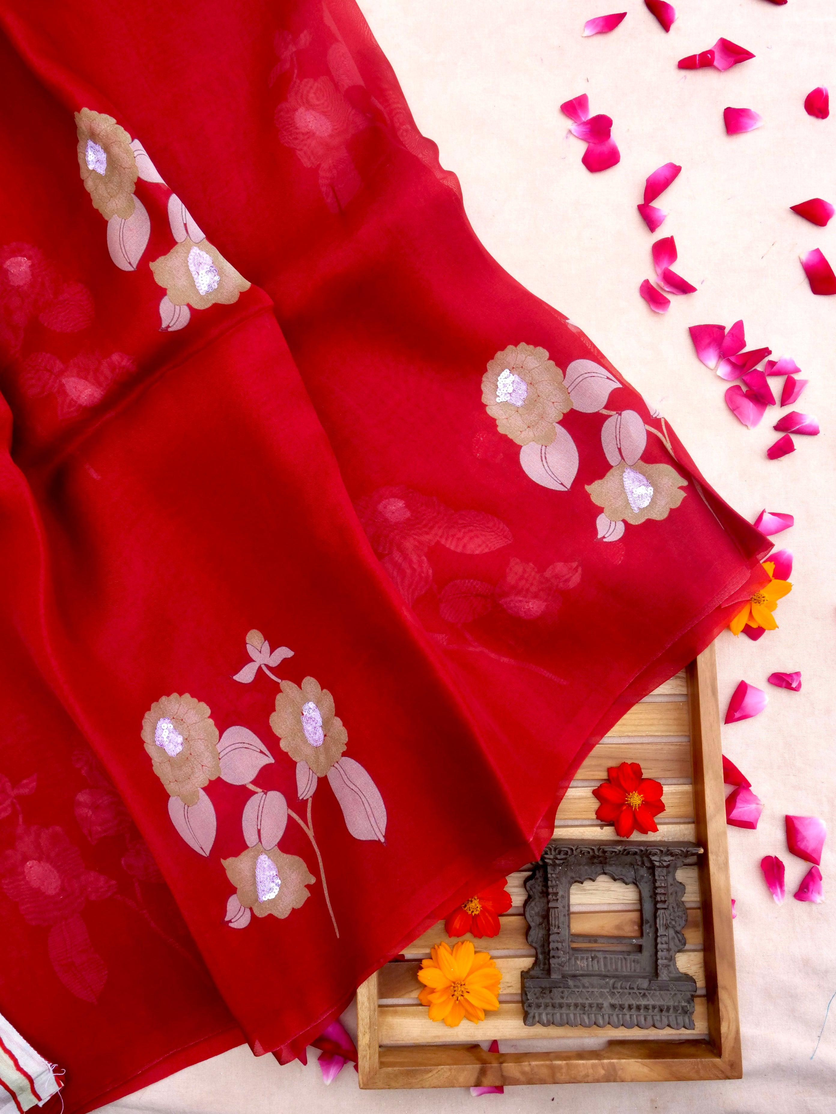 Red Pure Organza Saree with Hand Embroidry