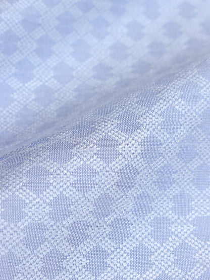 Light Blue Banarasi Fabric