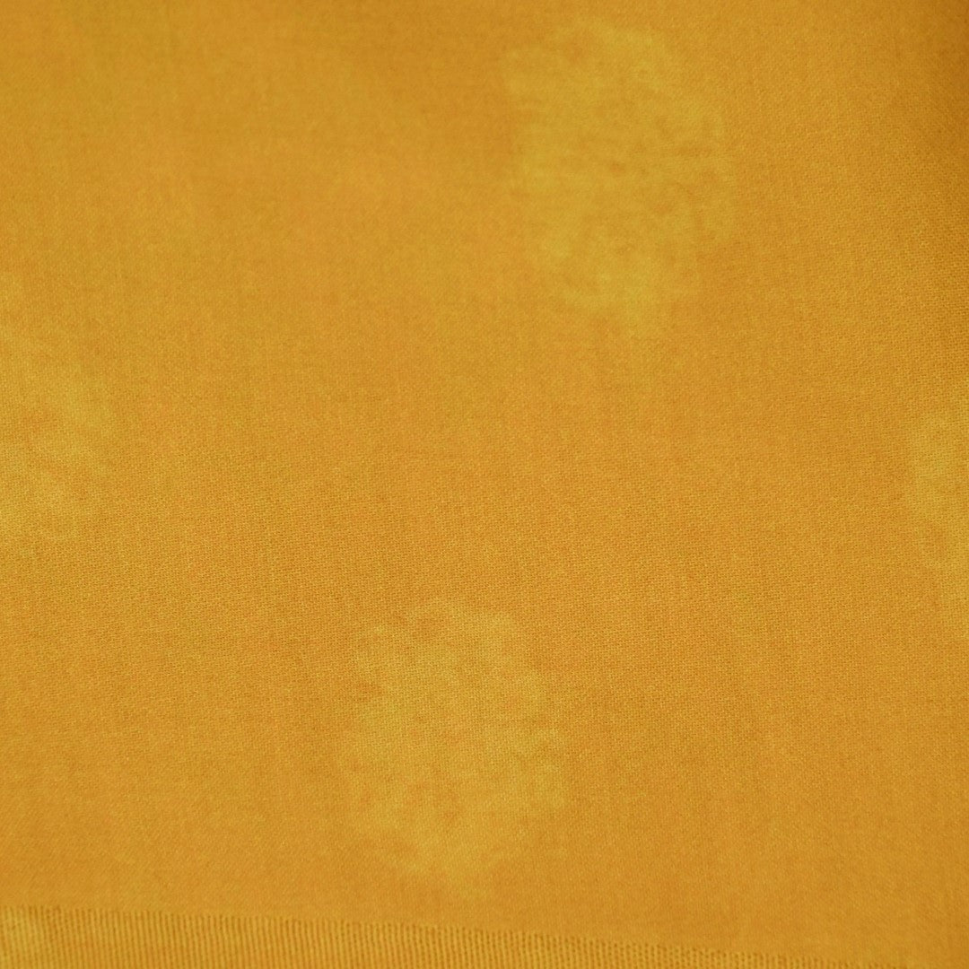 Light Blue Striped Pure Tissue Silk Saree