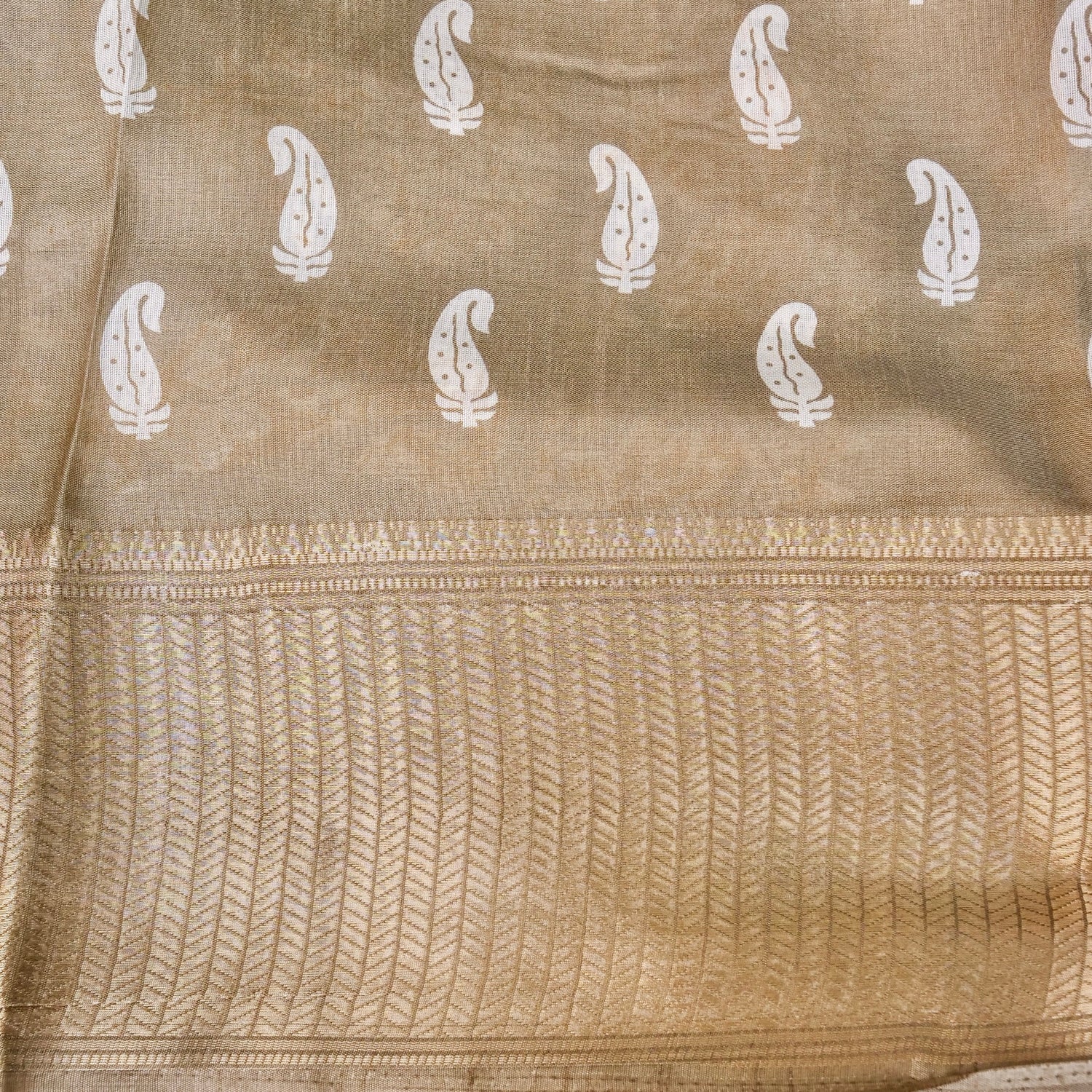 Beige Tussar Silk Floral Digital Print Banarasi Saree