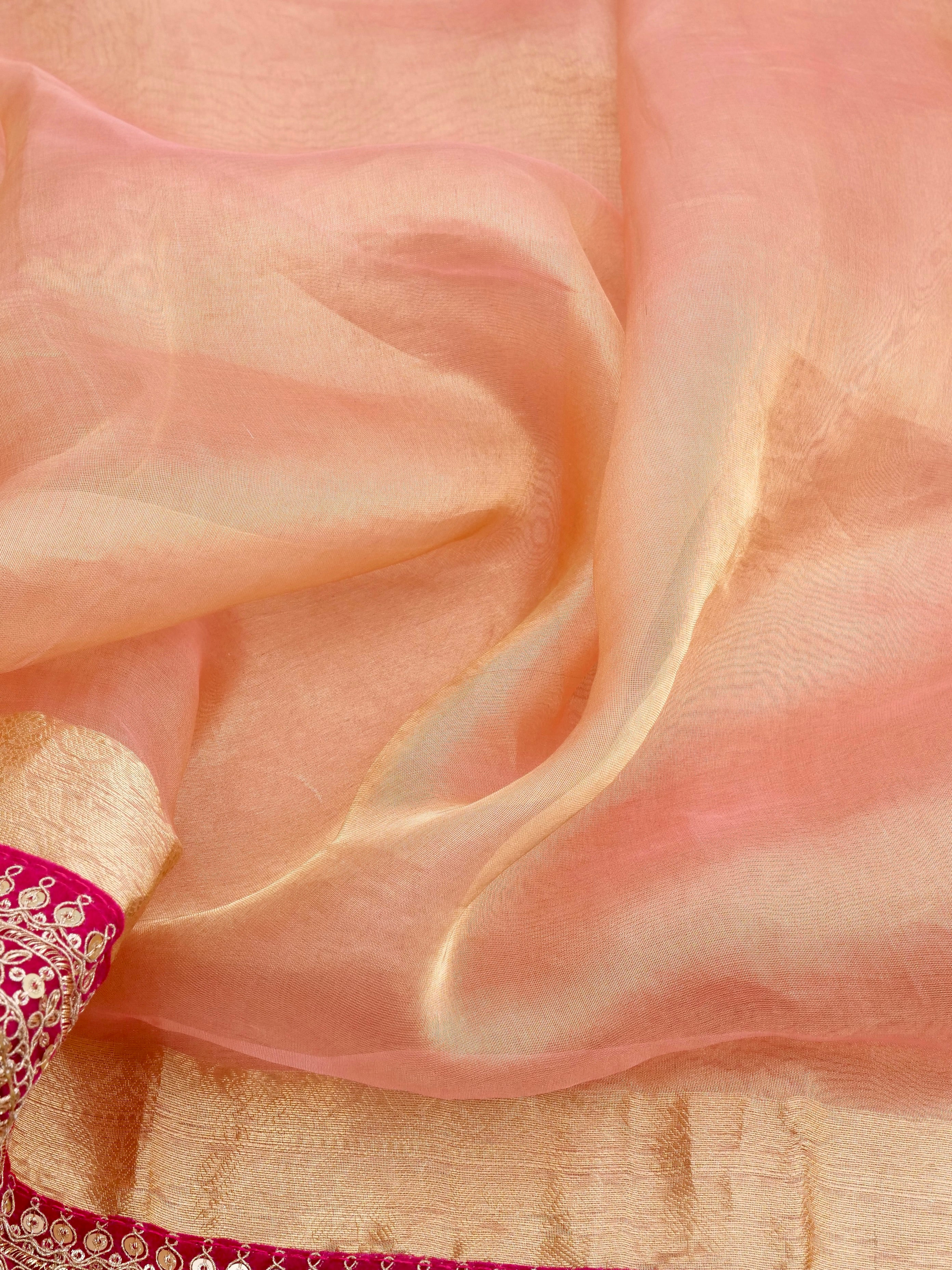 Red Pure Crush Tissue Silk Banarasi Saree with Embellished Border